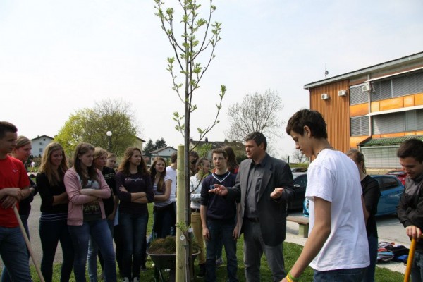 Pri soboški gimnaziji na Dan Zemlje zasadili drevo in grmovnice
